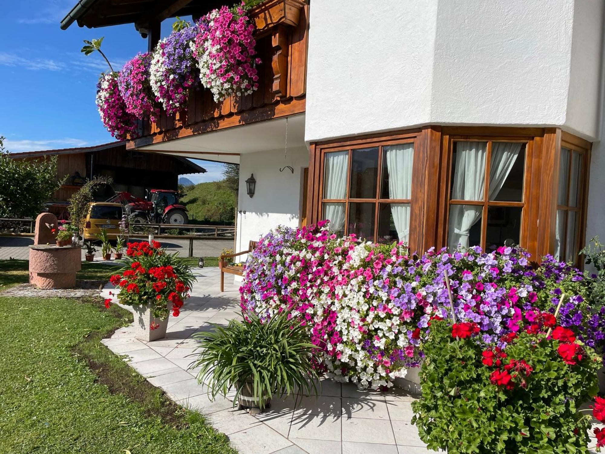 Gaestehaus Seeklause Schwangau Eksteriør bilde
