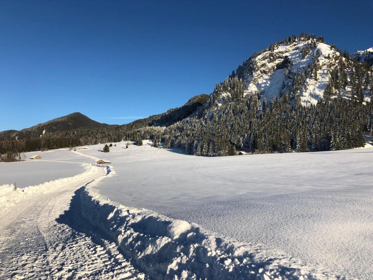 Gaestehaus Seeklause Schwangau Eksteriør bilde