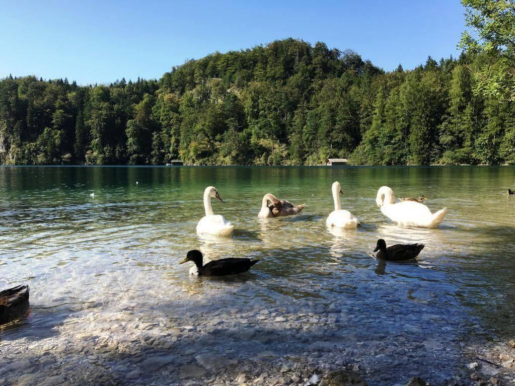 Gaestehaus Seeklause Schwangau Eksteriør bilde
